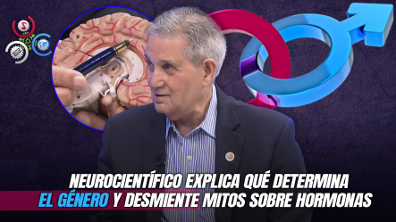 “La Persona Nace Homosexual: Es El Cerebro El Que Decide”,  Asegura Neurocirujano José Joaquín Puello