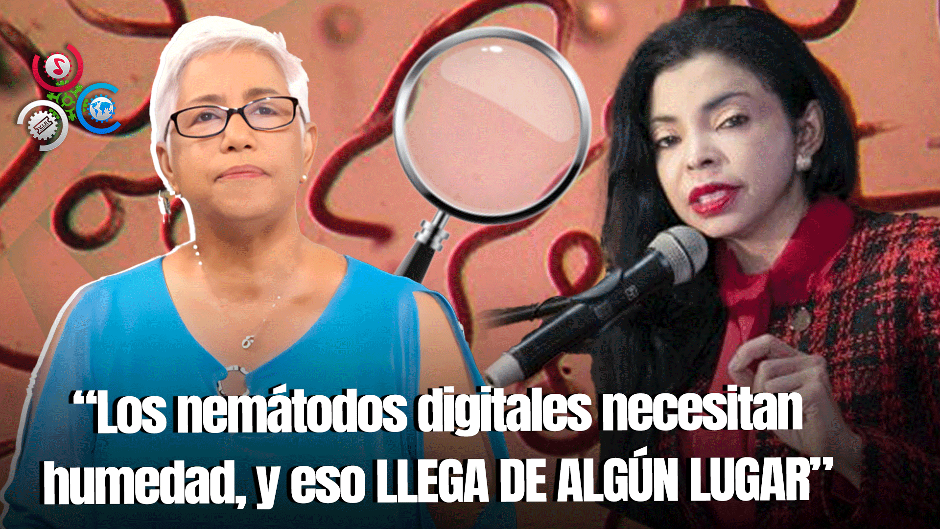 Altagracia Salazar: ‘Los Nemátodos Contra Yeni Berenice’| Sin Maquillaje