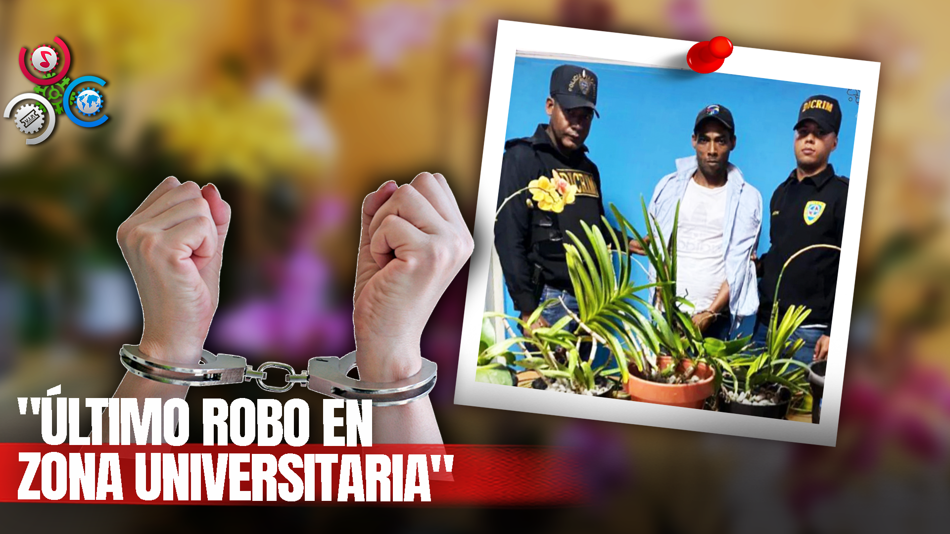 LOGRAN ATRAPAR LADRÓN DE ORQUÍDEAS