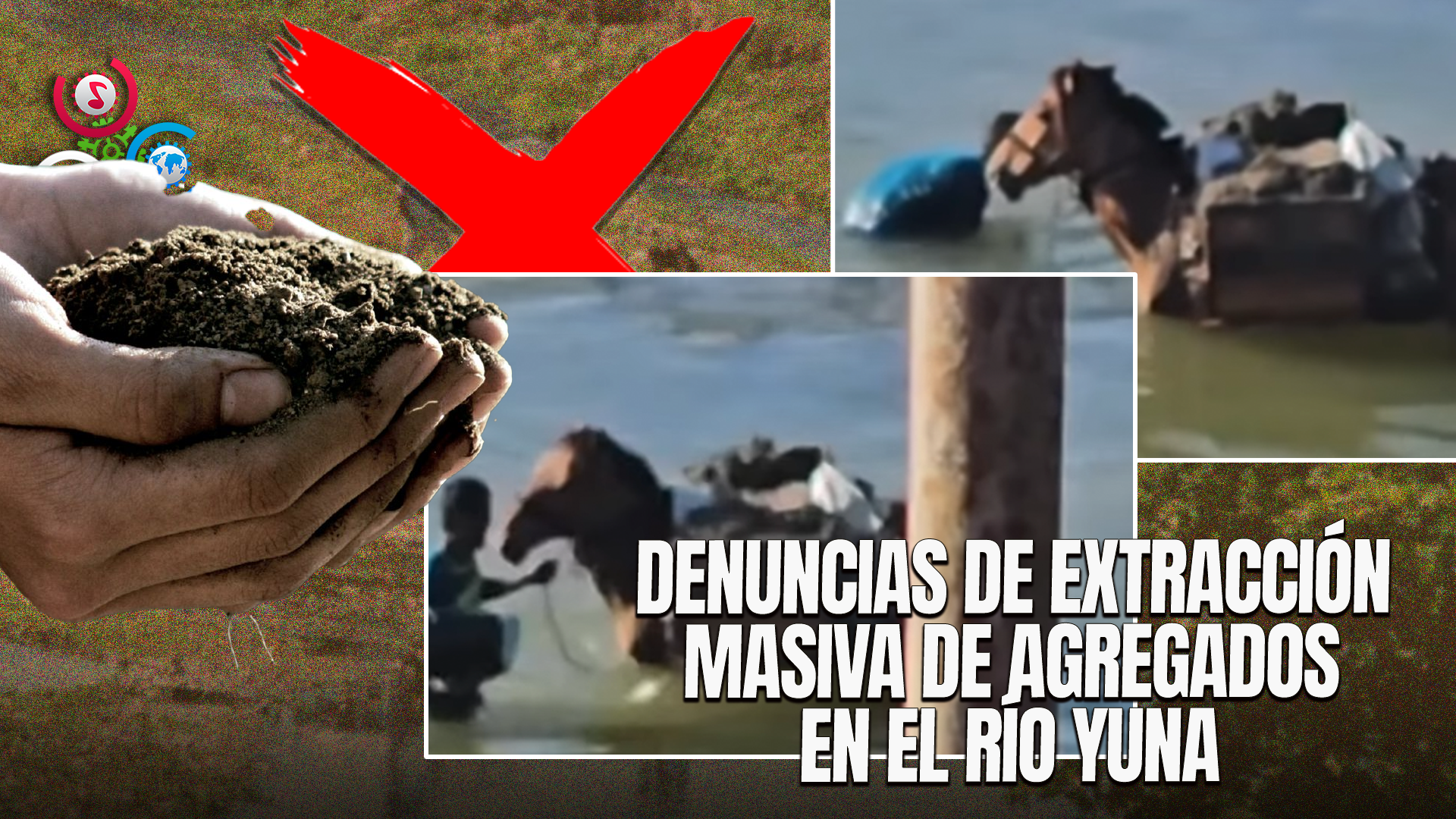 Denuncian Maltratos De Caballos Y Extracción De Arena En El Río Yuna, Provincia Duarte