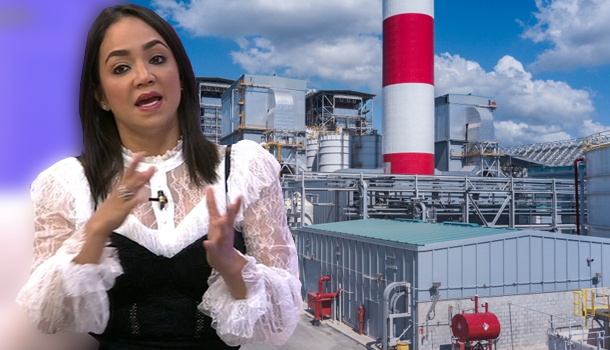 Faride Raful Da Todos Los Detalles Sobre Auditoría A Punta Catalina