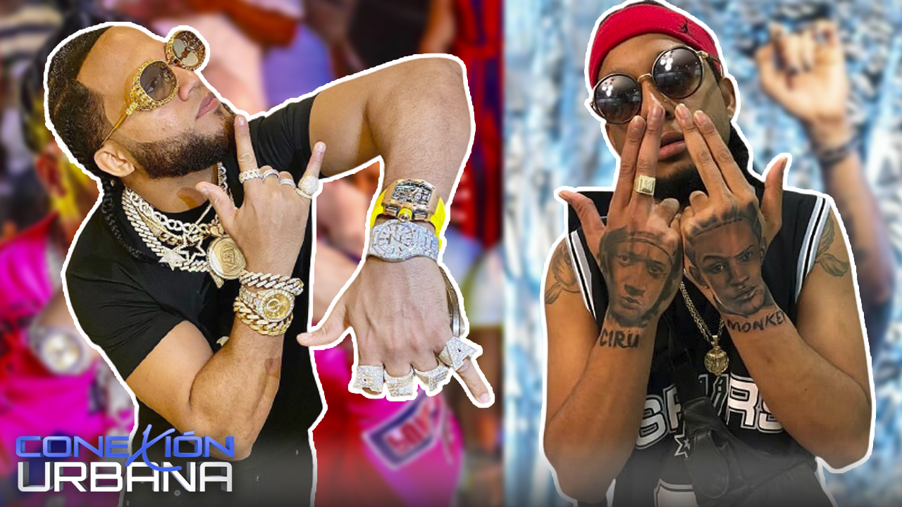 Rochy Le Declara La Guerra Al Alfa!