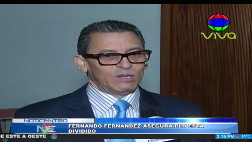 Fernando Fernández Asegura Que El PLD Está Dividido