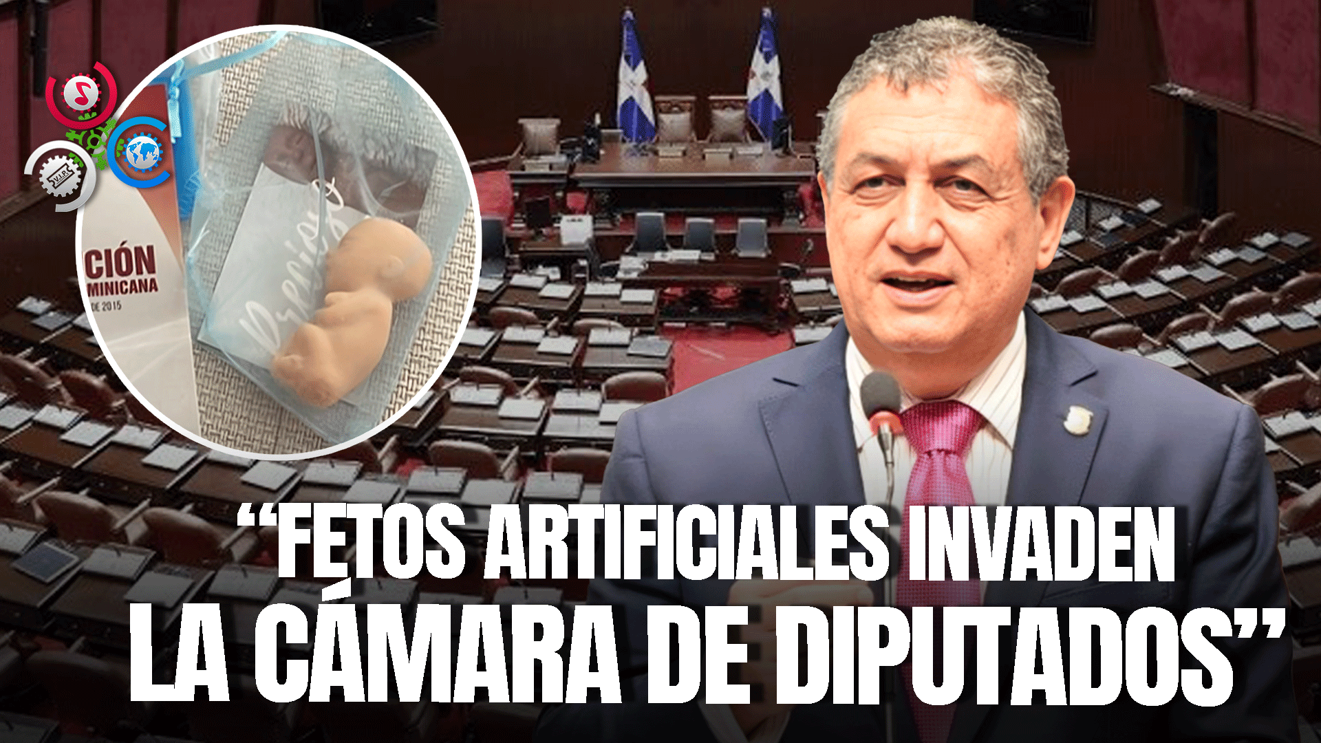 Legisladores Se Llevan Una Sorpresa Tras Encontrar Fetos De Plástico En Curules De La Cámara Alta