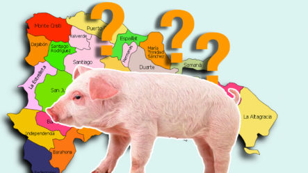Esta Es La Única Provincia Del País Sin Fiebre Porcina