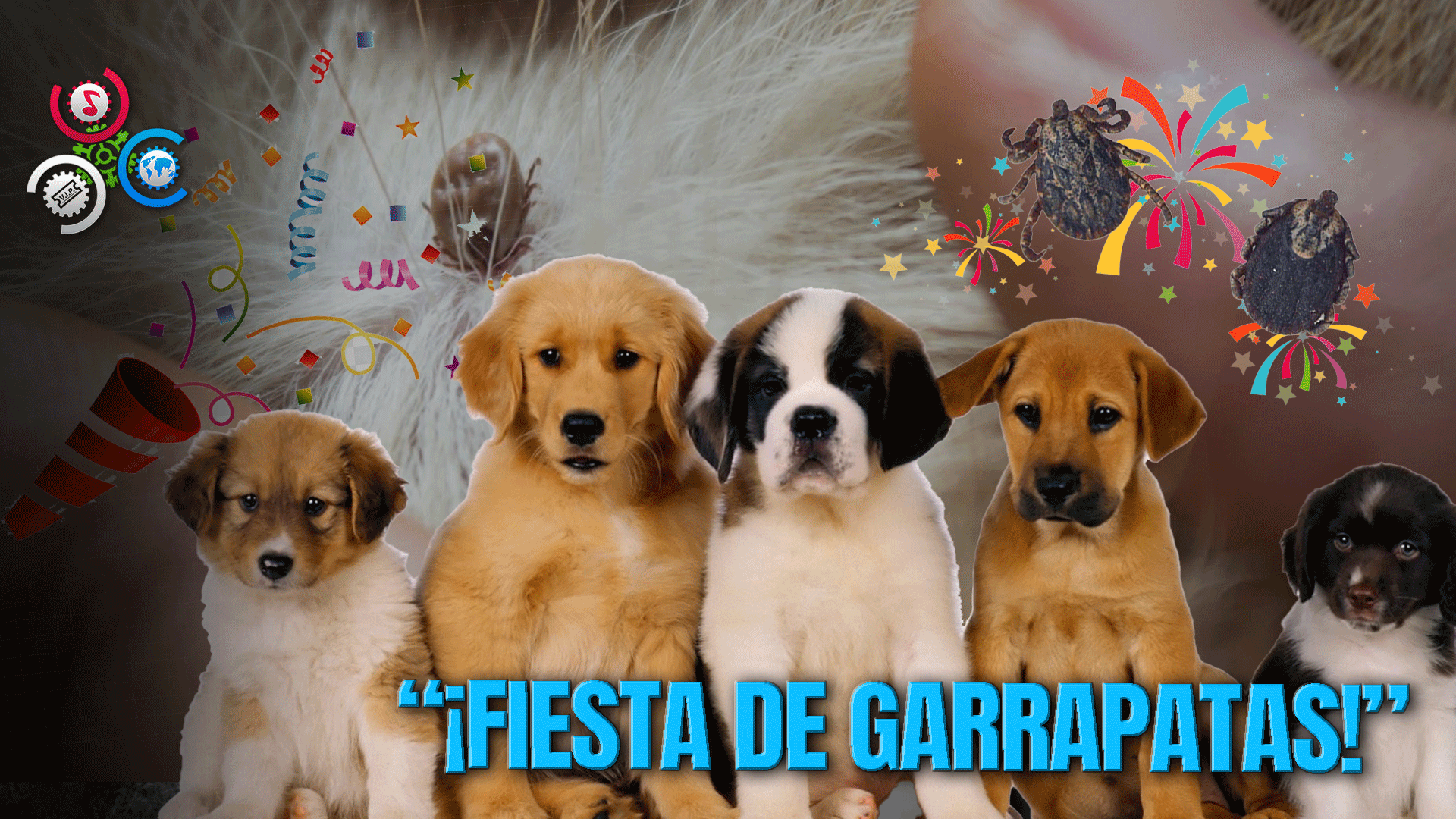 Residentes De Camboya Expresan Preocupación Por Extraño Brote De Garrapatas En Santiago