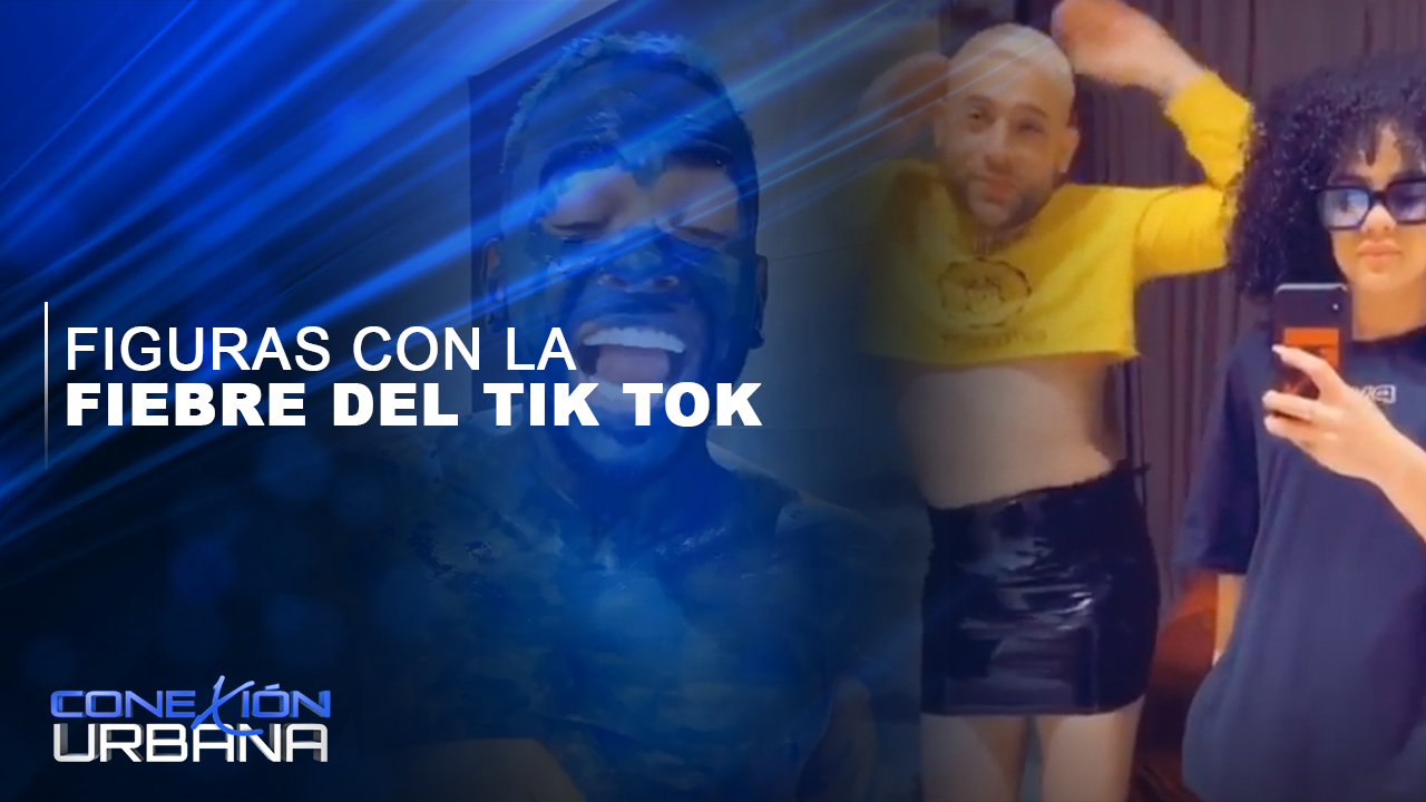 Las Figuras Con Los Tik Tok Más Divertidos