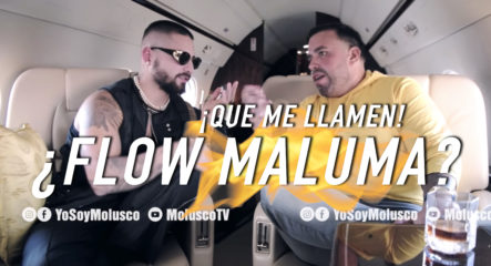 ¡Maluma Pide Que Se Le Explique El Significado De Nunca Flow Maluma!