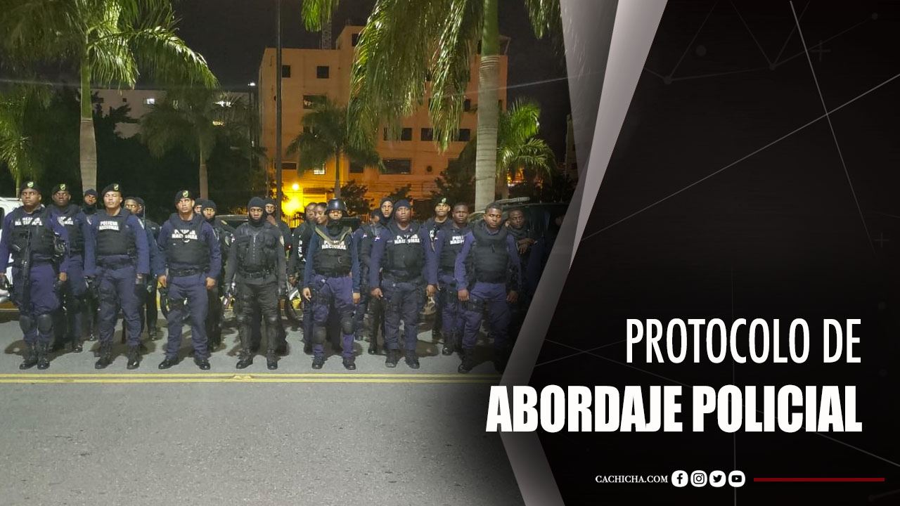 Experta En Seguridad Ciudadana Habla Del Protocolo De Abordaje Policial