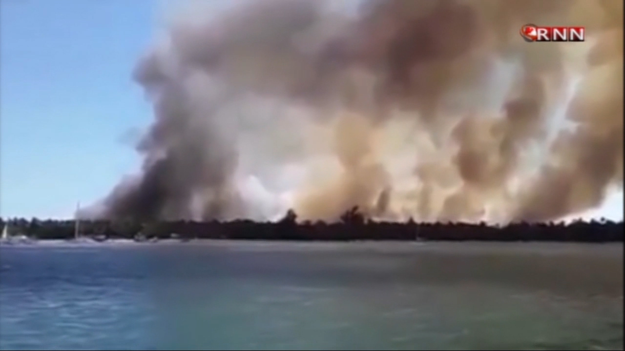 Medio Ambiente Investiga Incendio En Bávaro Y Dice Podrían Ser Manos Criminales