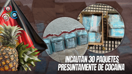 Fustran Envío De 30 Paquetes Presumiblemente Cocaína A Alemania