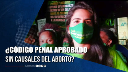 Activistas Piden Al Poder Ejecutivo Observar Código Penal Si Es Aprobado Sin Causales Del Aborto | Tu Tarde