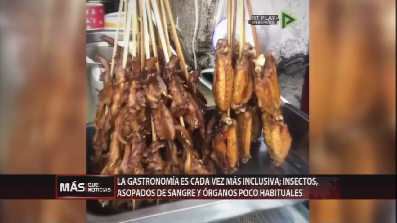 La Gastronomía Es Cada Vez Más Inclusiva Con Platos Poco Habituales A Base De Insectos Y Otros Ingredientes