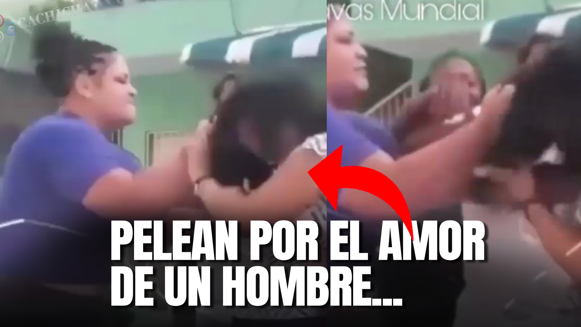 Mujer Comete El Error De Meterse Con Una Más Grande Y Termina Mal