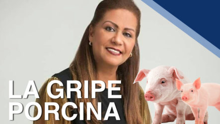 Gobernadora De Sánchez Ramírez Comenta Sobre Los Casos De Fiebre Porcina En La Provincia