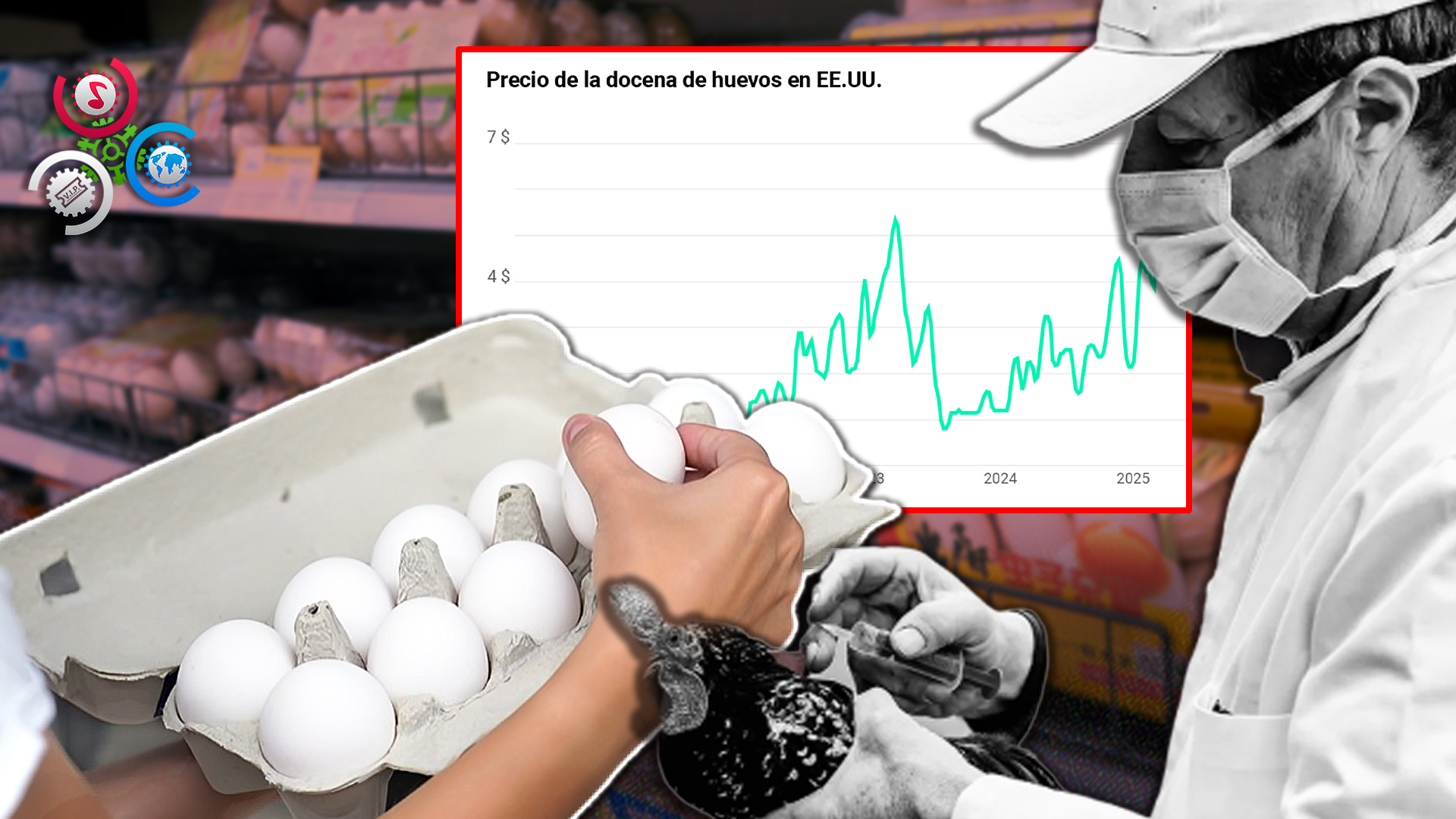 Precio De Los Huevos Se Ha Multiplicado Por Ocho En 45 Años Tras Gripe Aviar