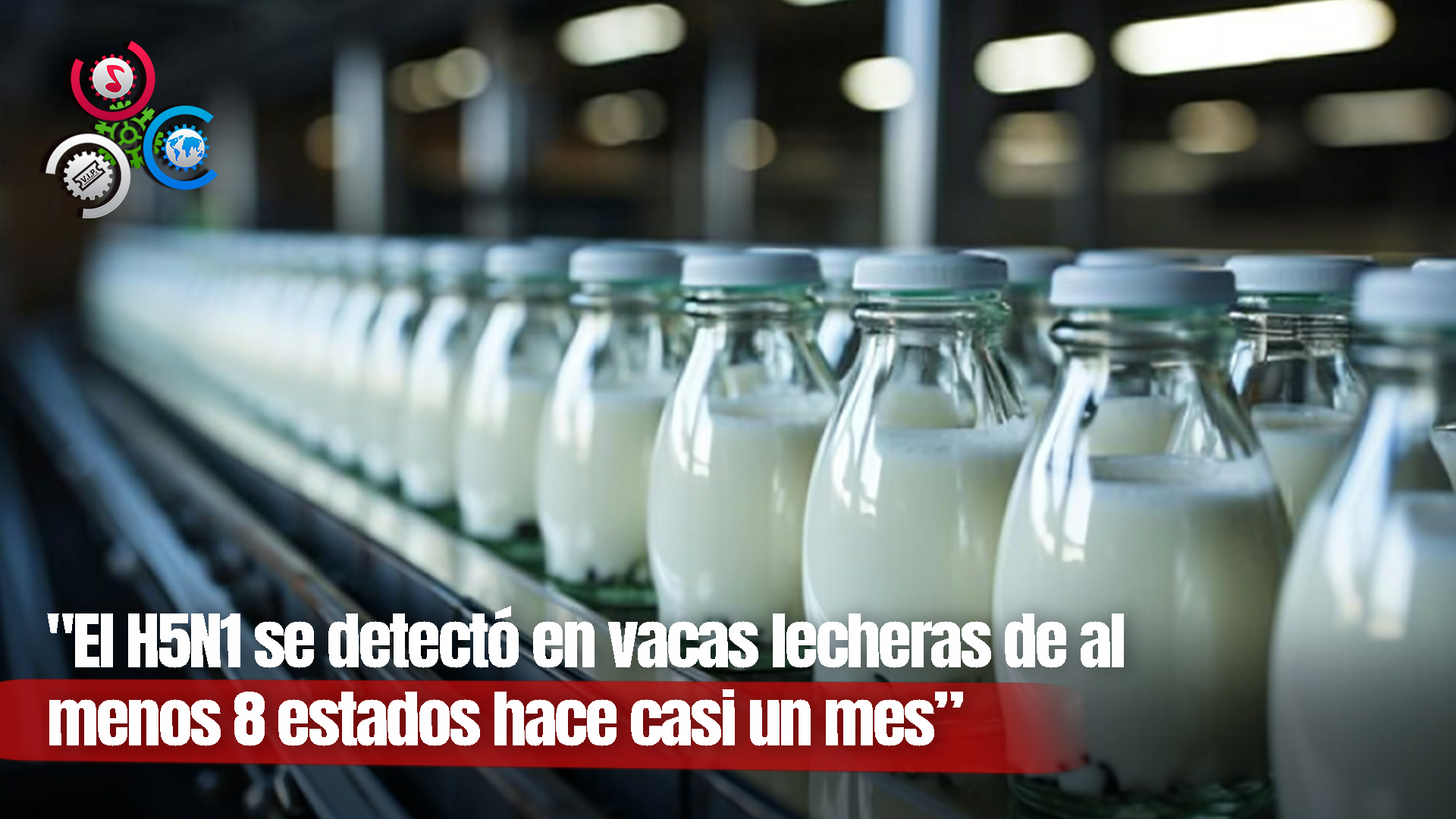 Hallan Rastros Del Virus Que Causa La Gripe Aviar En Leche Pasteurizada