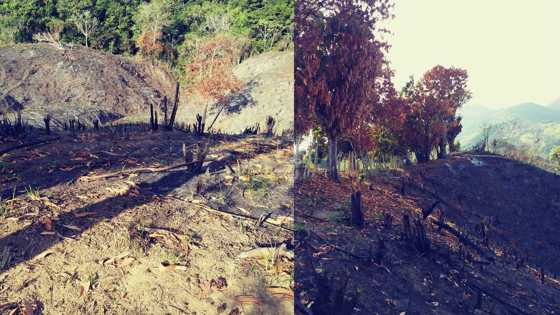 Sanción Para Quienes Provocaron Incendios En Loma De Cabrera