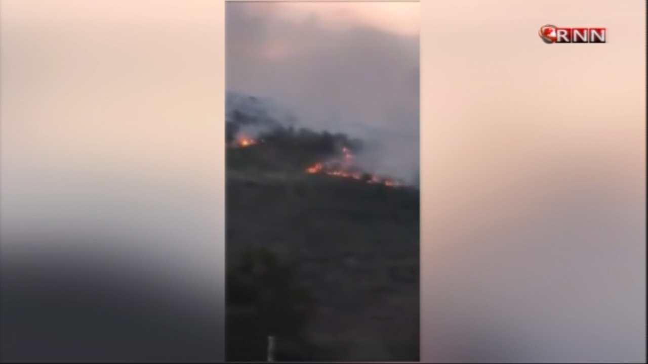Agresivo Incendio Consume Parte De Las Plantaciones De Pino En Loma De Guaigüi En La Vega