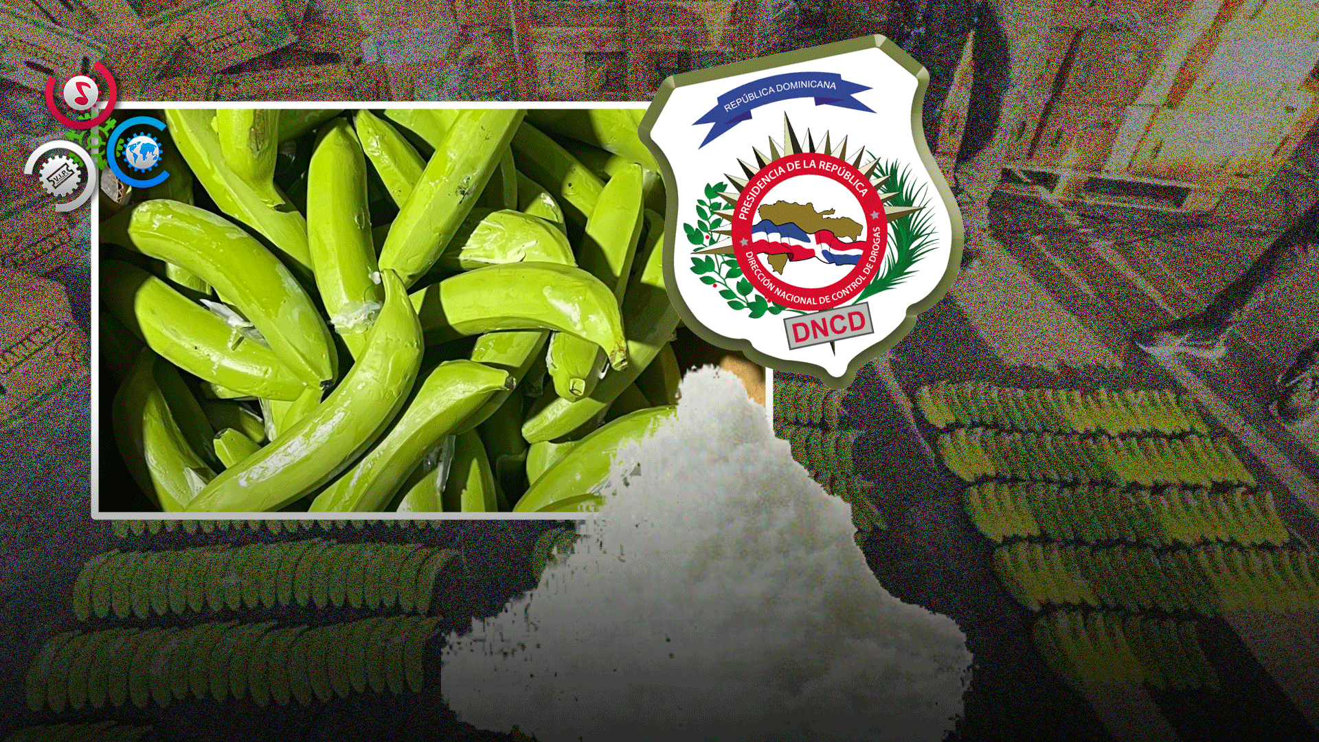 Decomisan 303 Guineos De Cerámica Rellenos De Presunta Cocaína En Puerto Manzanillo