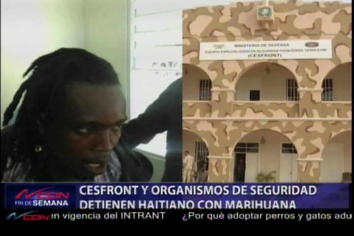 CESFRONT Y Organismo De Seguridad Detienen Haitiano Con Marihuana