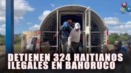 DETIENEN 324 Haitianos Que Entraron De Forma Ilegal Por Bahoruco