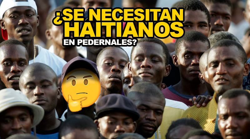 En Pedernales Se Necesitan Haitianos Después De Sacarlos De Su Territorio – Hoy Mismo