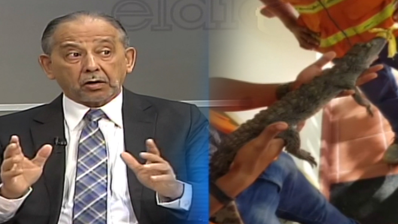 Apareció OTRO Cocodrilo; Huchi Lora Hace Llamado A Las Autoridades