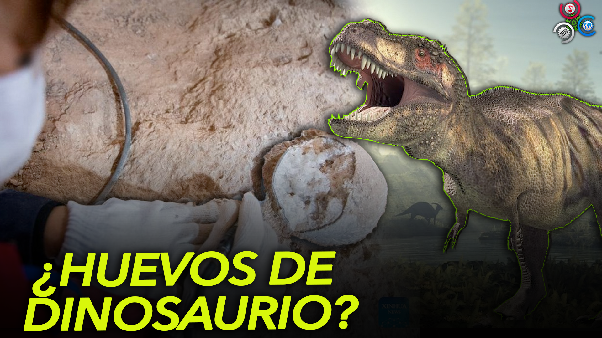 Huevos De Dinosaurio Cristalizados “extremadamente Raros” Son Hallados