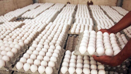 Productores De Huevos Se Declaran En QUIEBRA Por Cierre Fronterizo; Responsabilizan Al Gobierno