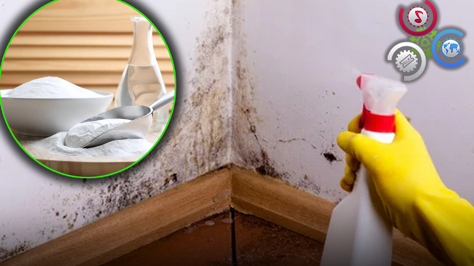 Cómo Desaparecer La HUMEDAD DE LAS PAREDES En Simples Pasos Según Expertos