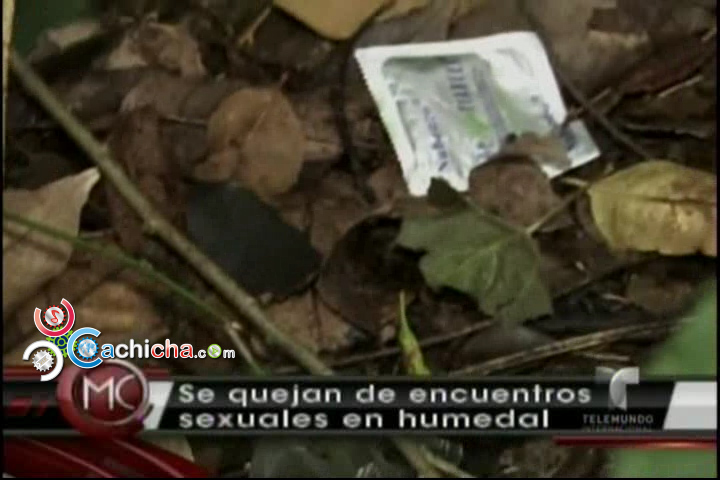 Vecinos Denuncian Encuentros Sexuales En Un Parque En Colombia @AlRojoVivo