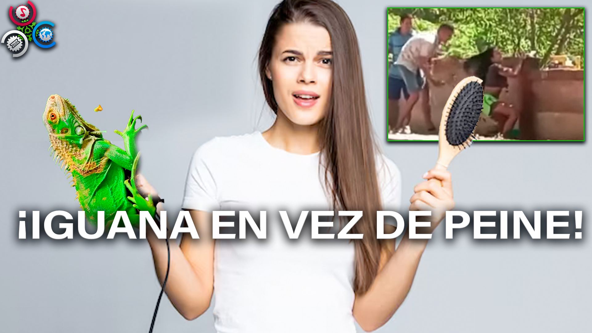 HOMBRE USA IGUANA PARA PEINAR UNA MUJER EN COLOMBIA