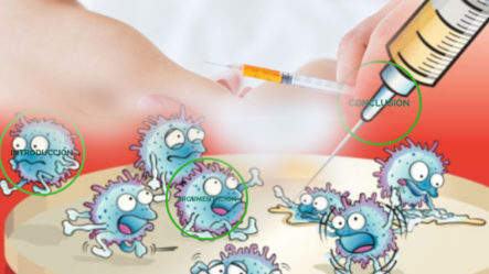 La Importancia De Las Vacunas | Plan Médico