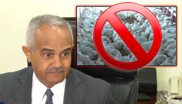 Ministro De Agricultura Niega La Muerte Masiva De Pollos Y Gallinas Sea Por Influenza Aviar