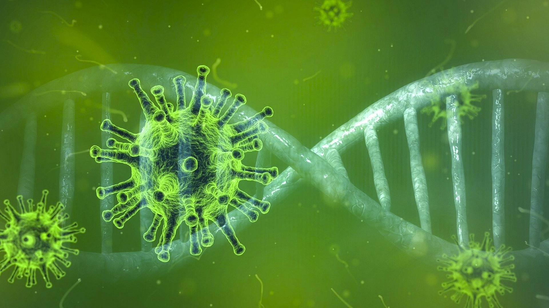 La Mezquindad De Los Políticos Frente Al Coronavirus