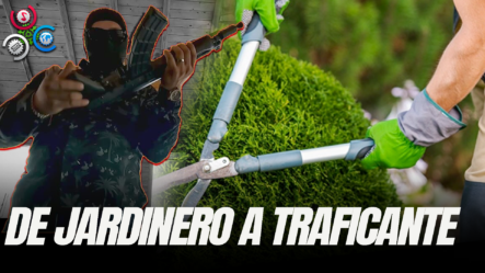 La Doble Vida De Un Jardinero Que Trafica Armas Destinadas A Los Cárteles De La Droga En México