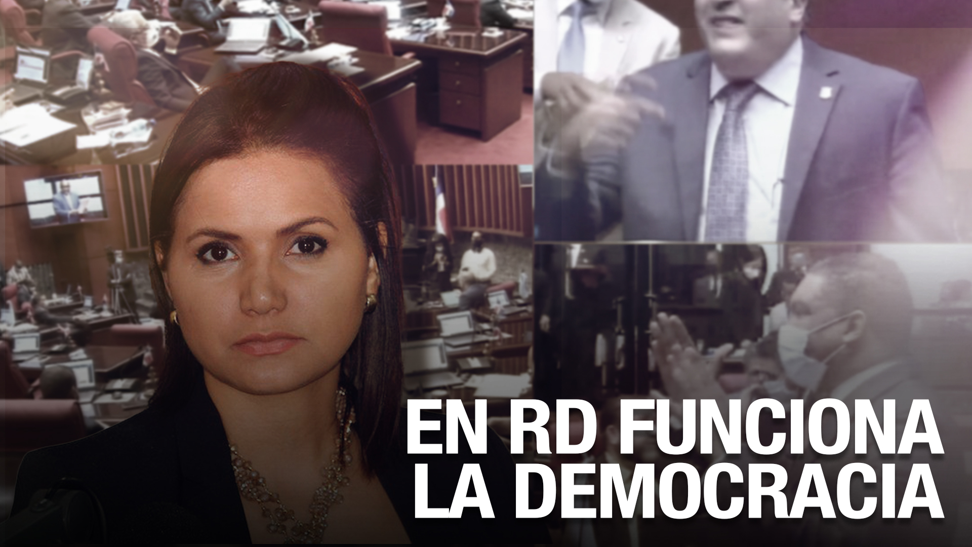 Julissa Céspedes Da Su Opinión Sobre Temas Tratados Por PLD En El Senado; “No Hay Políticos Malos Sin Gente Que Los Elija”