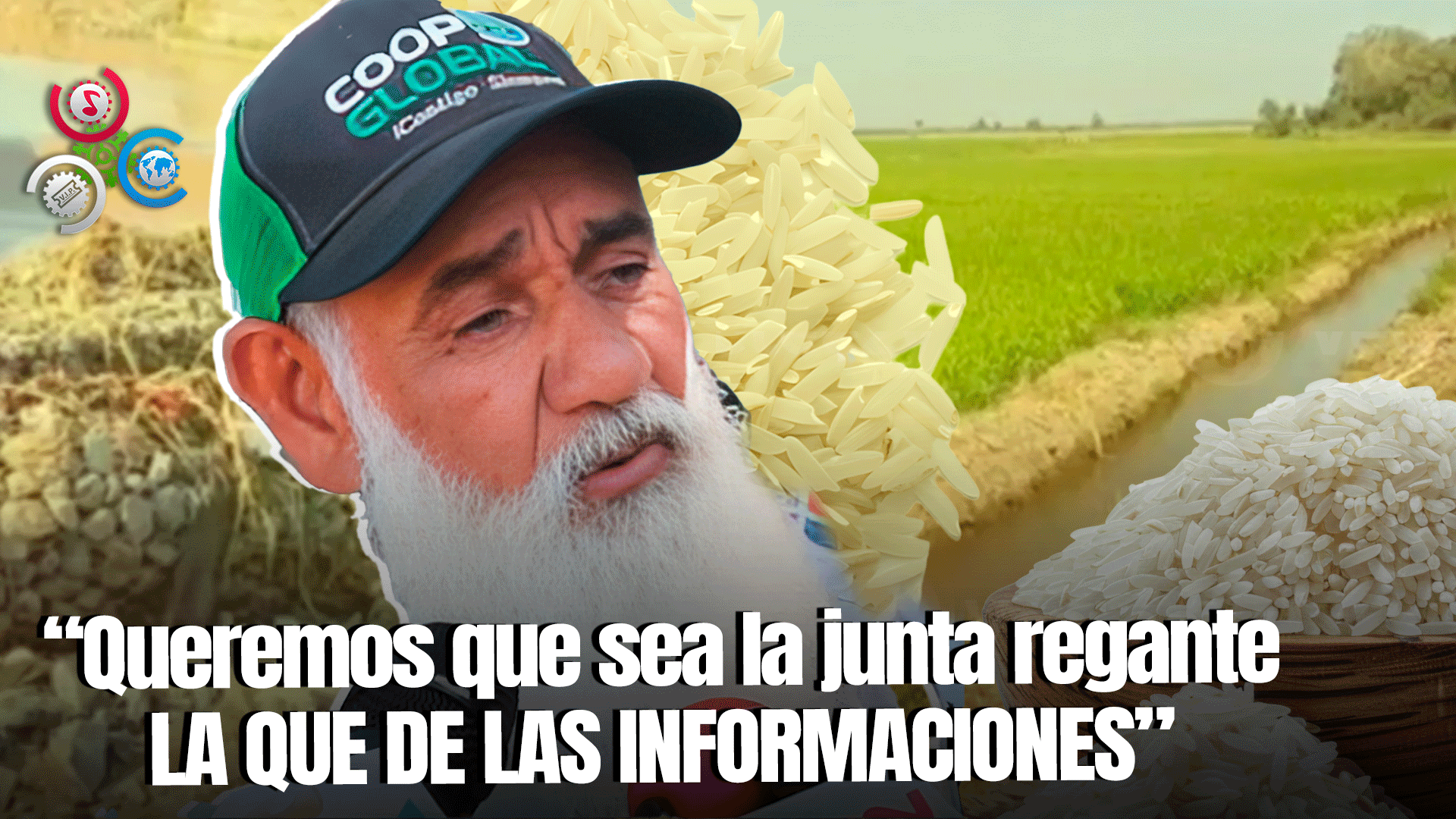 Productores De Arroz Próximos Al Río Masacre Desmienten Sequía Por El Canal De Agua Haitiano