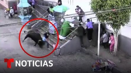 En Video: Toro Se Escapa Y Embiste A Transeúntes