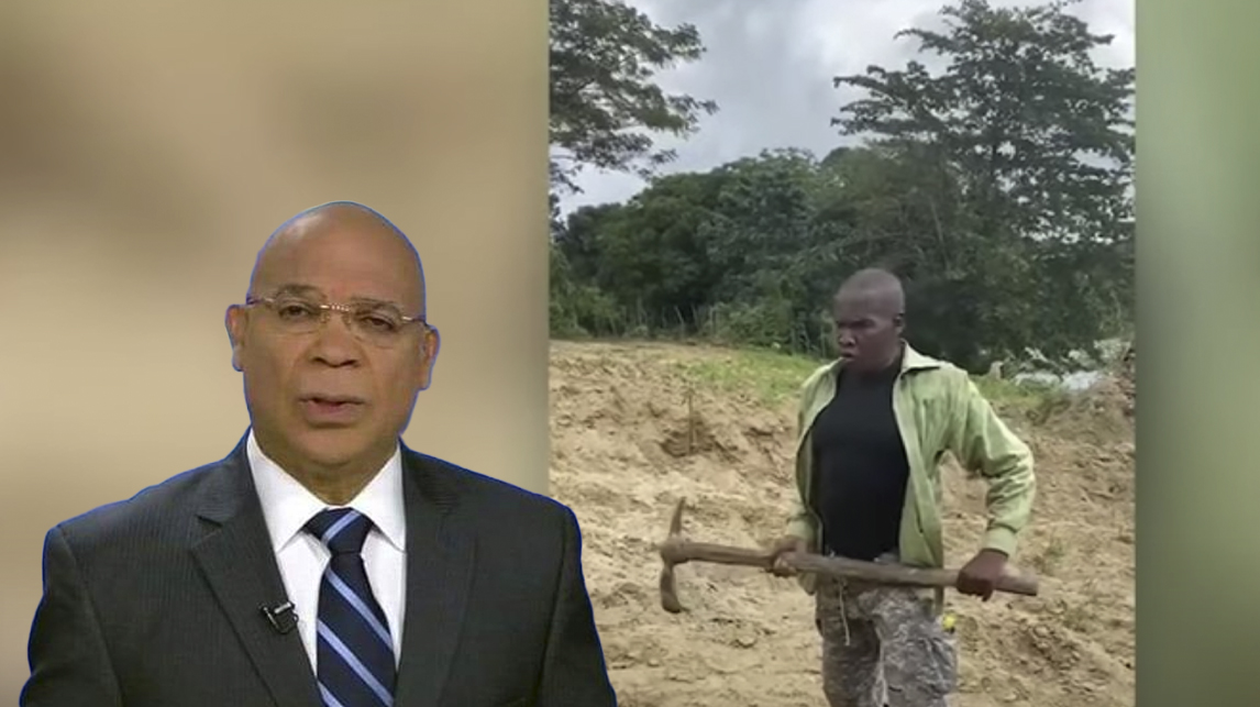 El Coronel Marte Palavé: Un Lobo Disfrazado De Oveja