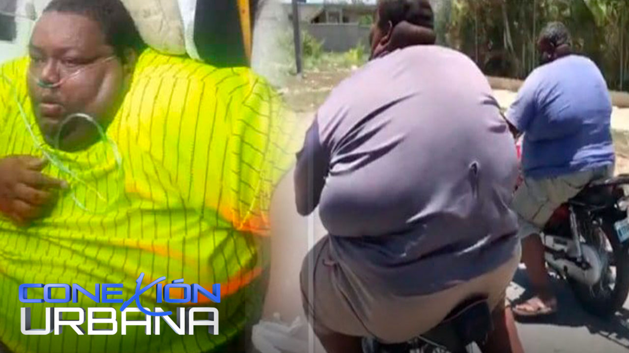 Analizando Como Se Contagio La Verdolaga Con El Virus