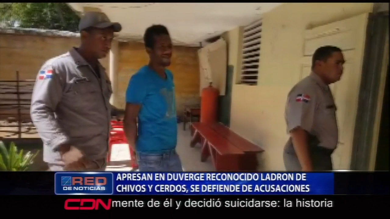 Autoridades Apresan En Duvergé A Un Reconocido Ladrón De Animales Y Este Se Defiende De Las Acusaciones