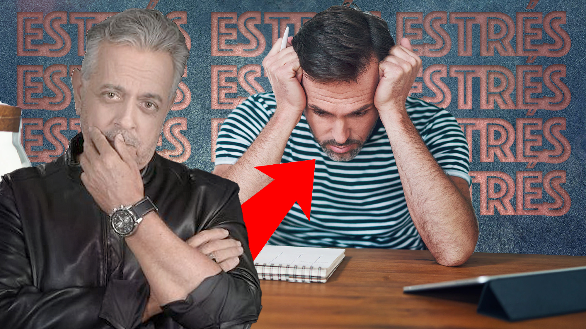 SIN ESTRÉS EL CEREBRO SE “AMEMA” (La Mur Explica Los Beneficios Del Estrés A Corto Plazo)