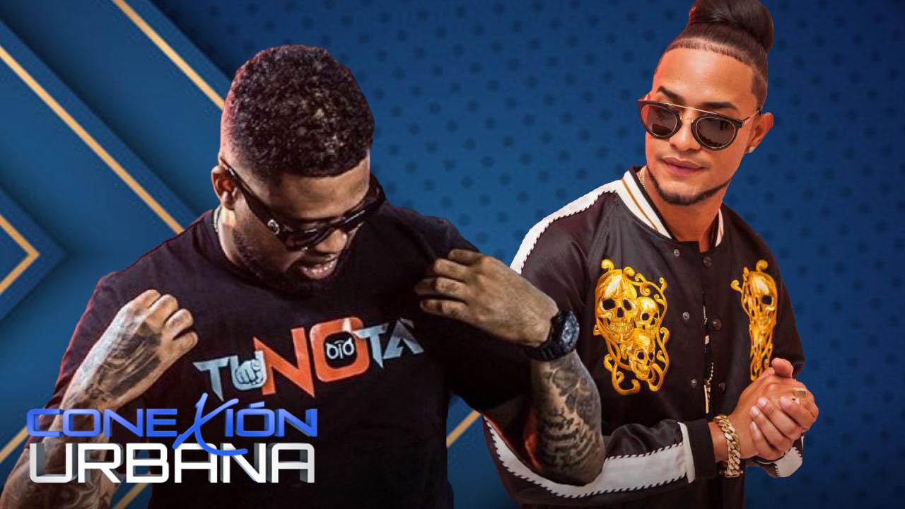 Este Es El Verdadero Y Unico Resultado Final De La Tiradera De Mozart Y Lápiz