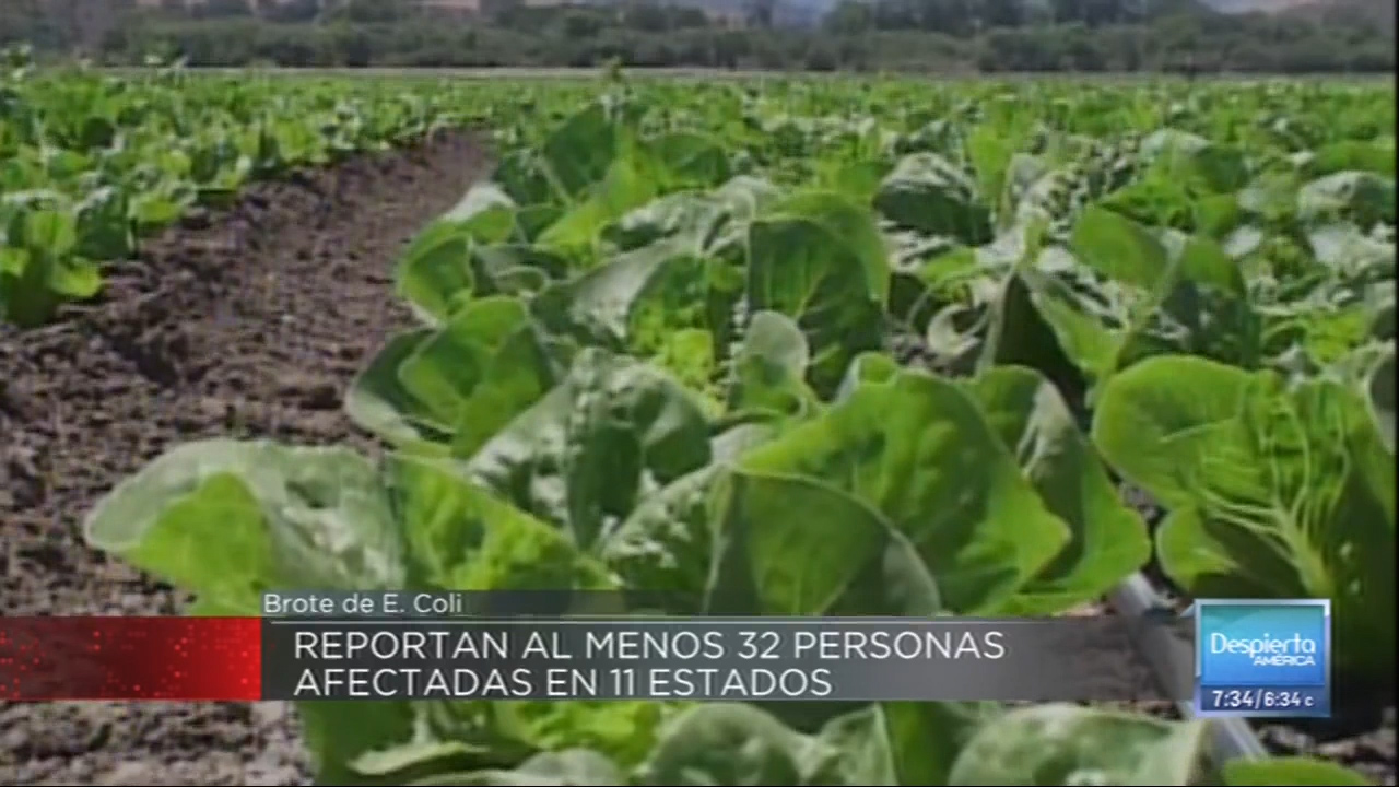 La Tuerca ¡PICANTE! Mira Por Qué Alberto Vargas Le Dice COME MI*** A LECHUGA