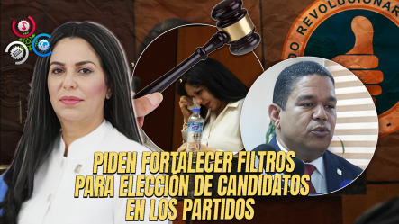 Legisladores Del PRM Lamentan Condena De Exdiputada Rosa Amalia Pilarte