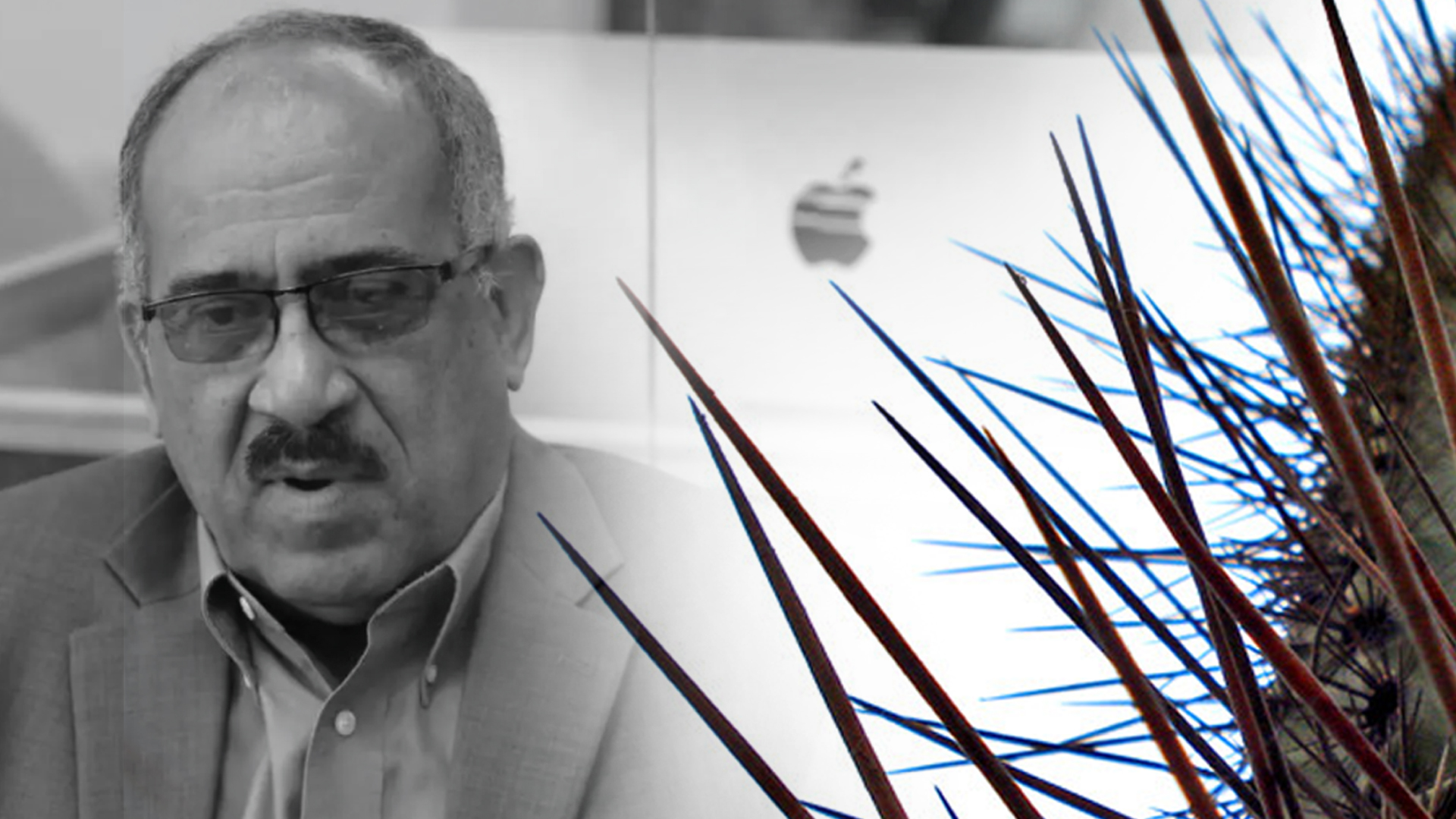 El Espinoso Caso De Leonardo Faña