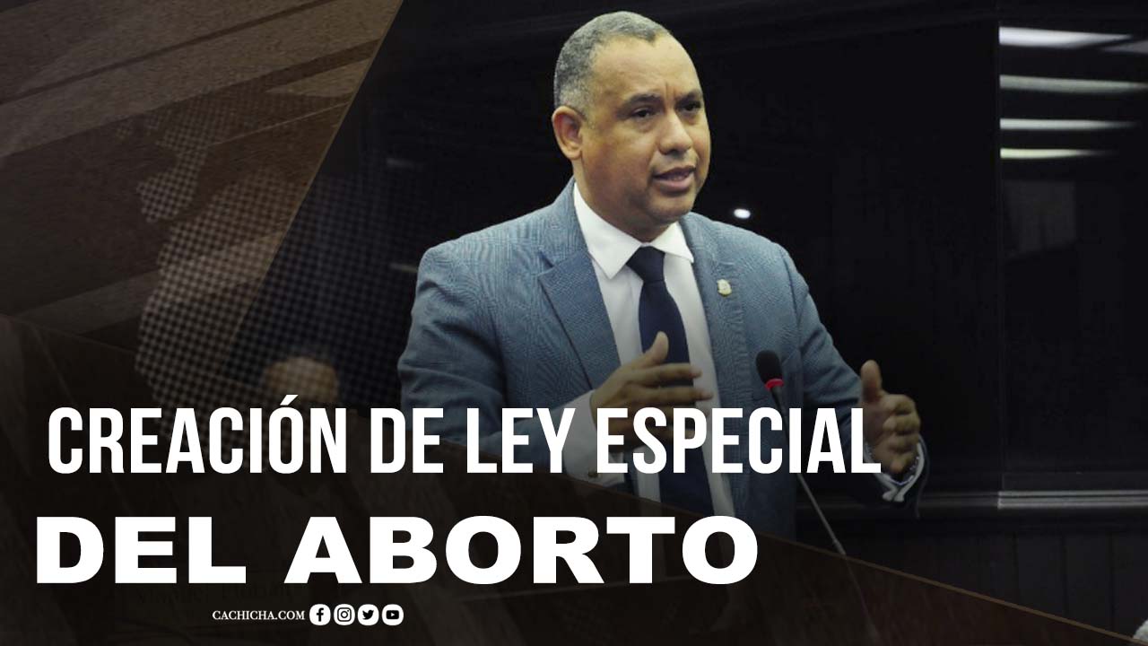 La Creación De La Ley Especial Del Aborto