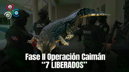 Liberan Siete De 23 Detenidos En Fase II Operación Caimán